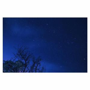 999无色码中文字幕
